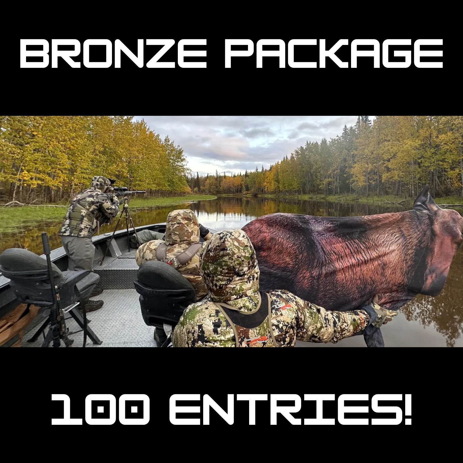 Bronze Package